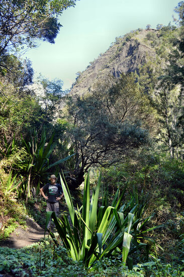 Abwechslungsreiche Wanderung im Cirque de Cilaos