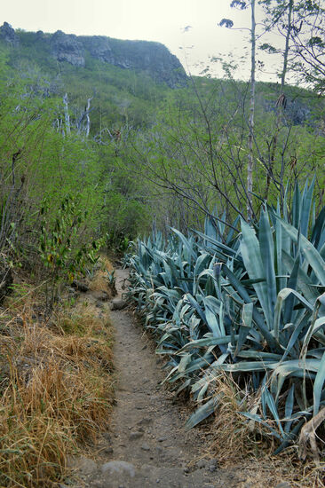 Der Weg zum Bassin des Cormorans führt zuerst durch trockenes Gelände...