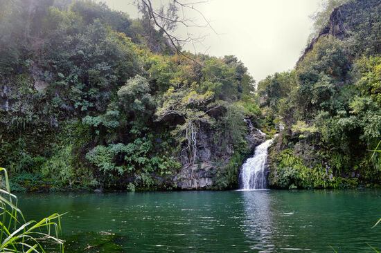 Das Bassin ist einfach nur zauberhaft.