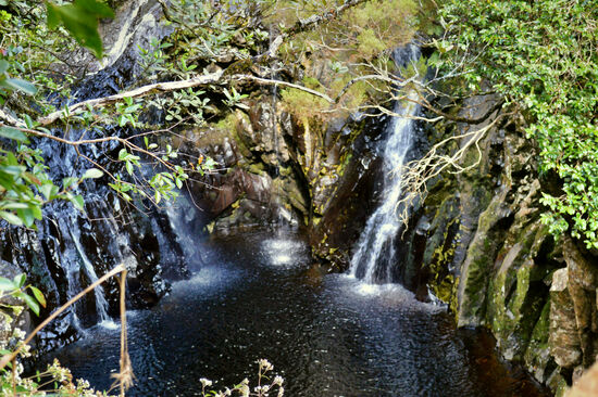 Versteckt im Wald liegt dieses Becken des Bras Noir