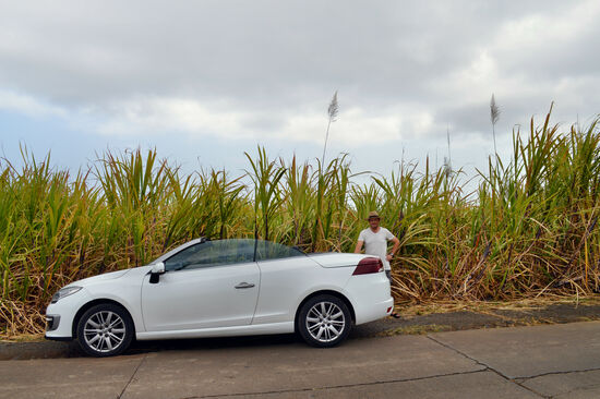 Cabrio samt Fahrer am Zuckerrohrfeld