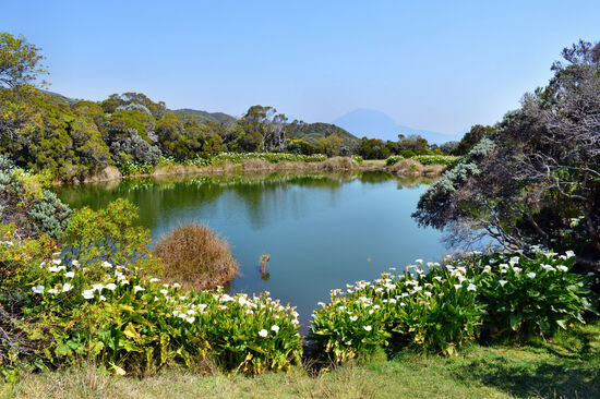 Idyllischer geht's kaum - Piton de l'Eau
