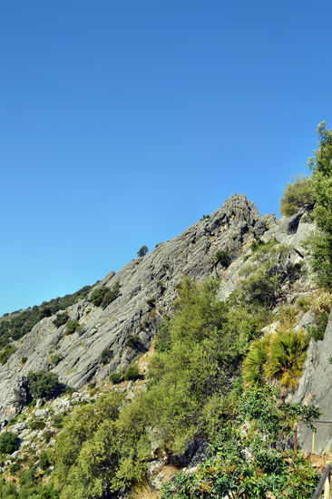 Landschaft an der Cueva de la Pileta