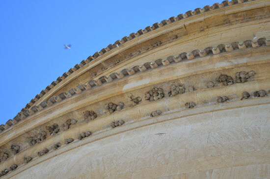 Schwalbennester an der Kuppel der Kirche von Montefrío