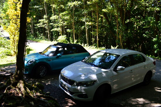 Unsere fahrbaren Untersätze am Parkplatz des Forêt de Mare-Longue