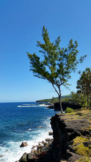 Unser Platz zum Mittagessen an der Steilküste von Le Baril