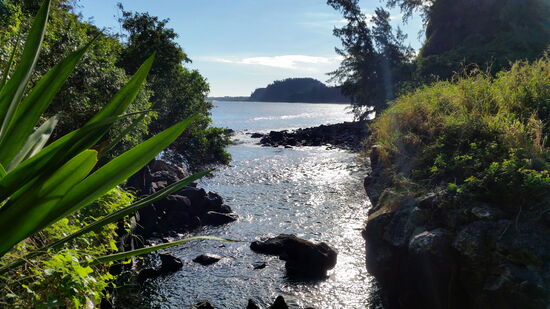 Blick aus dem Bachbett zur Bucht