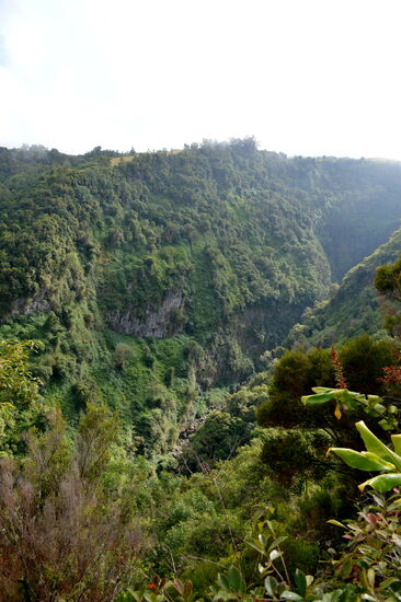 Blick in eine Ravine oberhalb von Le Tévelave