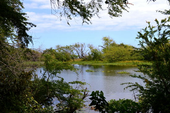 Am Étang de Saint-Paul