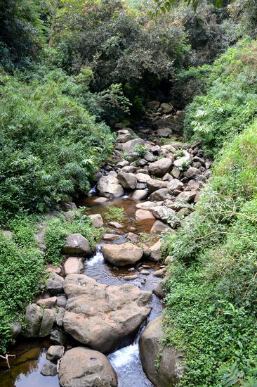 Ein kleiner Bach an der Höhenstraße