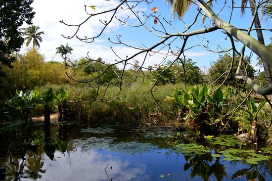 Im "Jardin d'Eden"