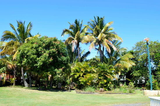 Im Garten des Hindu-Tempels