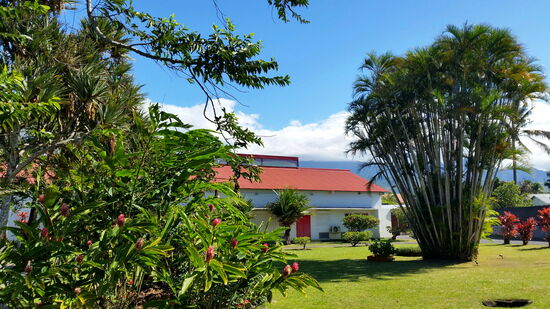 Vanille-Kooperative in Bras-Panon