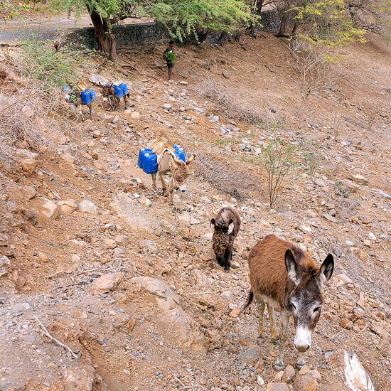 Begegnung am oberen Ende des Tals