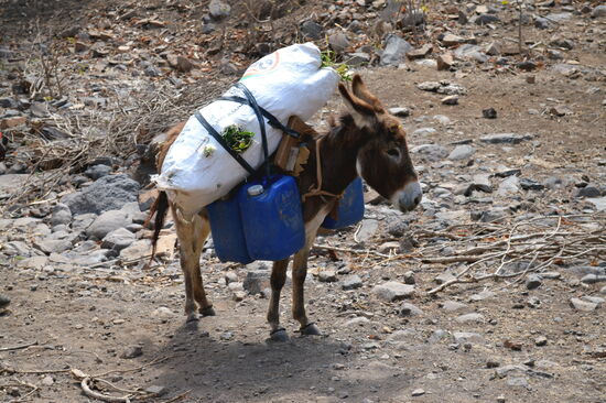 Auch auf Santiago ein häufiges Bild