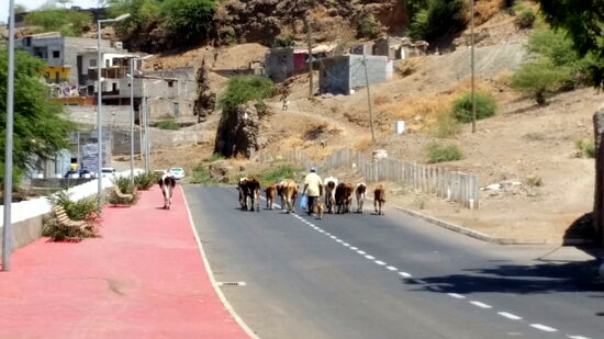 Kanal-Tal zwischen Palmarejo und Achada de Santo Antonio