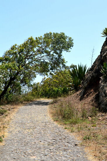 Bequemer Wanderweg in der Serra Malagueta