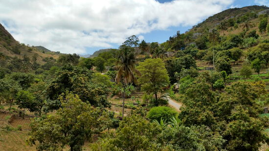 Das fruchtbare Tal von Boa Entrada