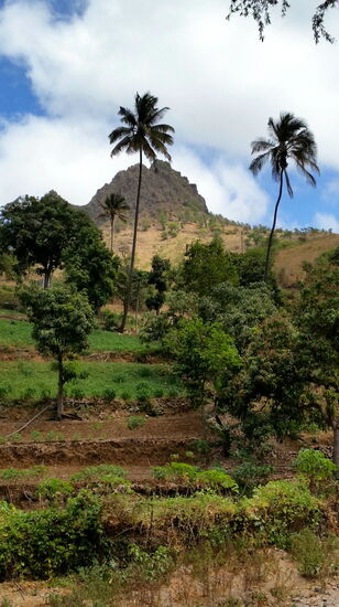 Im Tal von Boa Entrada