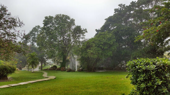 "Flüssigen Sonnenschein" nennen die Jamaikaner den Regen