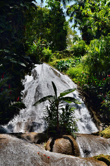 Wunderschöner Wasserfall in Shaw Park Gardens
