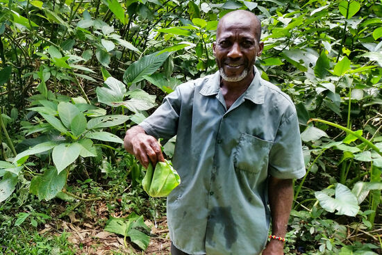Percy und der Becher vom nächsten Strauch