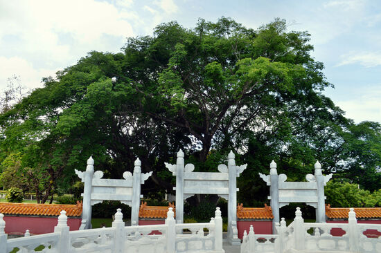 Chinesischer Garten in den Hope Gardens