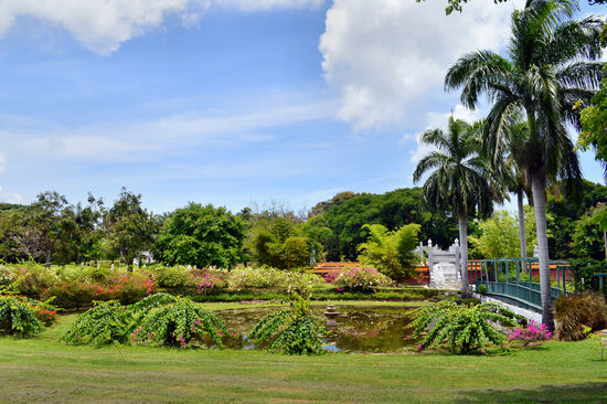 Hope Gardens in Kingston
