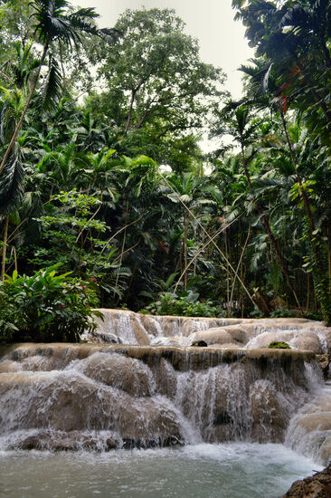 Optisch fast wie die berühmten Dunn's River Falls, aber viel ruhiger