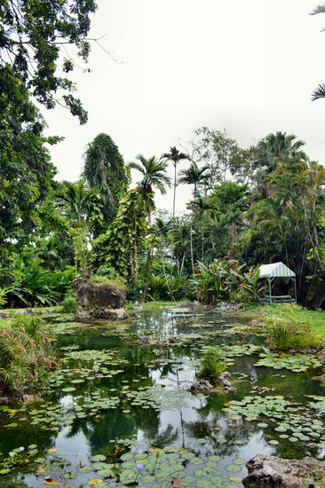 Im Turtle River Park