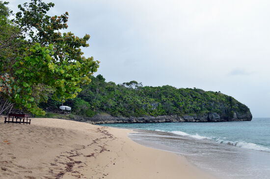 Reggae Beach