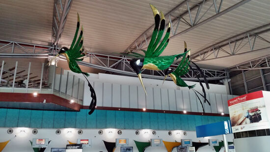 Eindeutig Doctor Birds, wenn auch nicht ganz echt