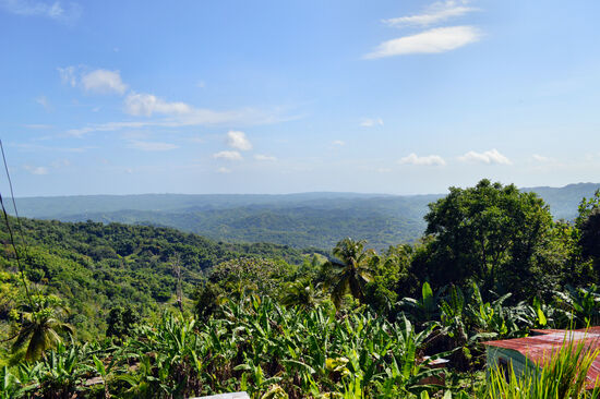 Blick über das Cockpit Country, das Land der Maroons