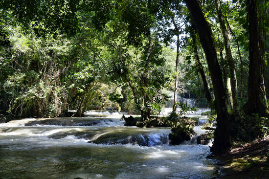 Die YS Falls gelten als die schönsten Wasserfälle Jamaicas