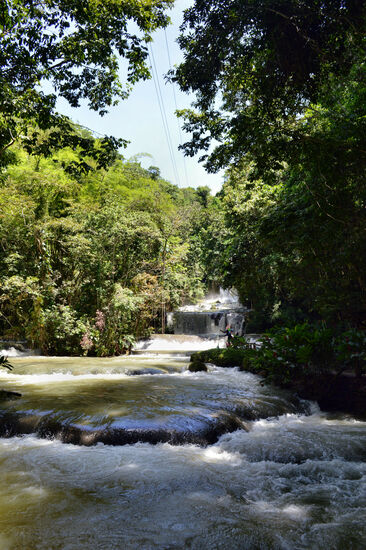 Der YS River fließt durch üppige Vegetation