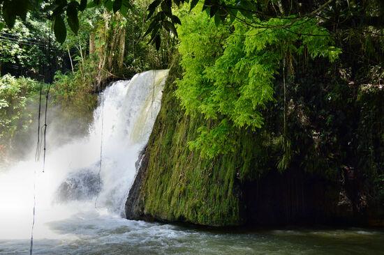 Grün in allen Schattierungen am YS River