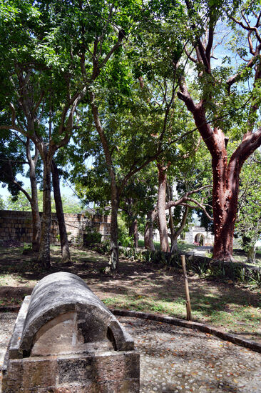 Das angebliche Grab der mehrfachen Mörderin Annie Palmer