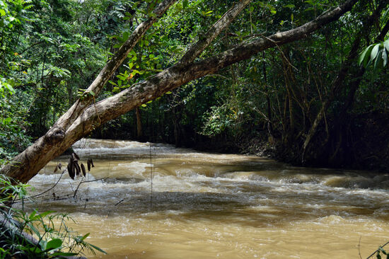 Ungezähmt und ziemlich wild ist der White River