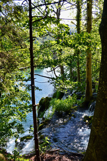 Wasser und viel Grün im Nationalpark