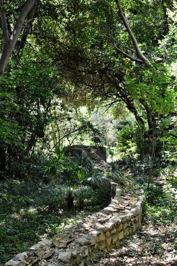 "Zauberbrunnen" im Arboretum in Trsteno