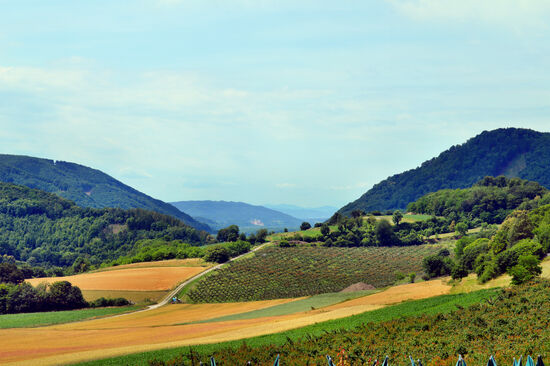 Oberhalb des Aggsbach-Tals