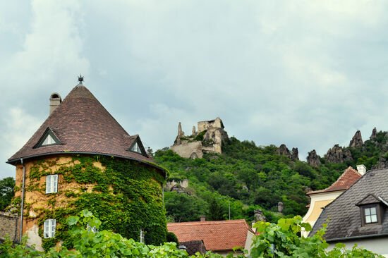 Blick zur Ruine Dürrnstein