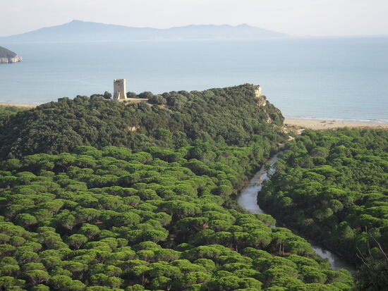 Blick über den Naturpark Maremma