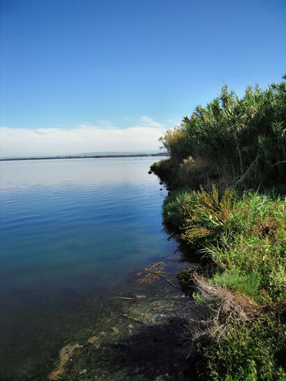 Nördliche Lagune von Orbetello