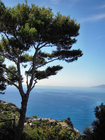 Blick über das Meer in Richtung Giglio