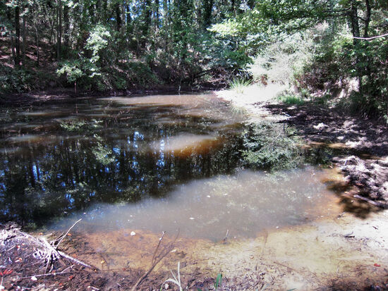 Biotop auf dem Grund des "Civettaio"