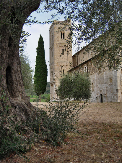 Beides uralt - Klosterkirche und Olivenbaum