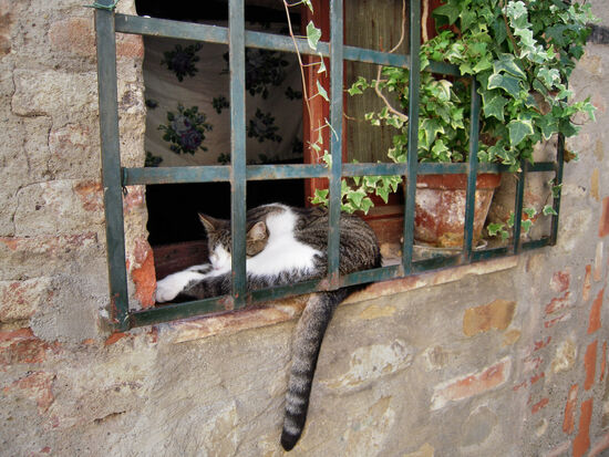 Ein ruhiges Plätzchen