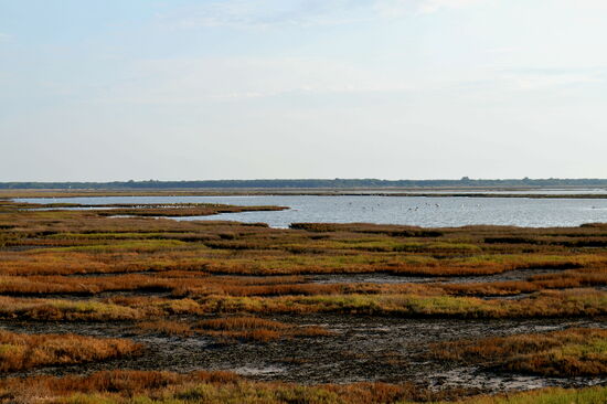 Naturschutzgebiet Diaccia Botrona