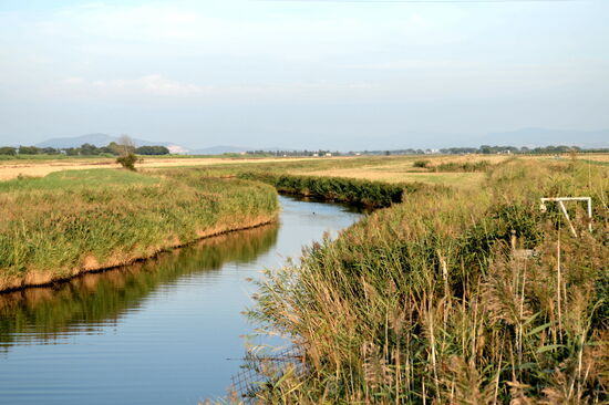 Naturschutzgebiet Diaccia Botrona